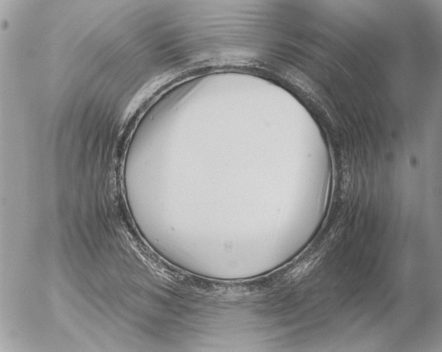 X0000052550978200507291911