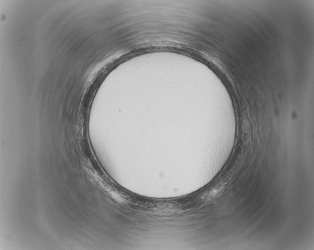 X0000052550979200507291911