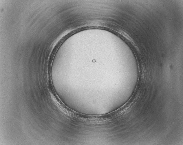 X0000052550980200507291911