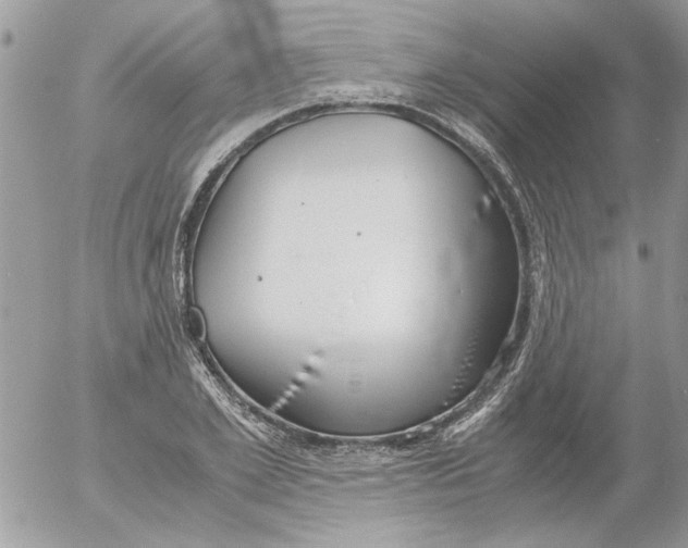 X0000052550981200507291911