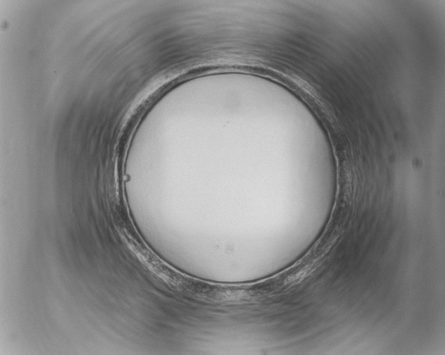 X0000052550982200507291911