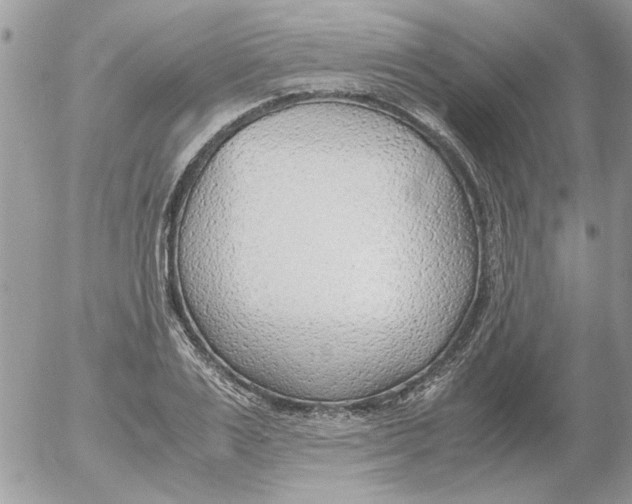 X0000052550983200507291911