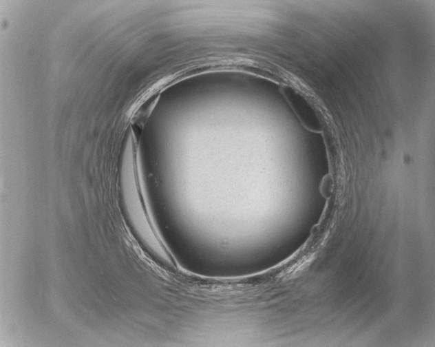 X0000052550985200507291911