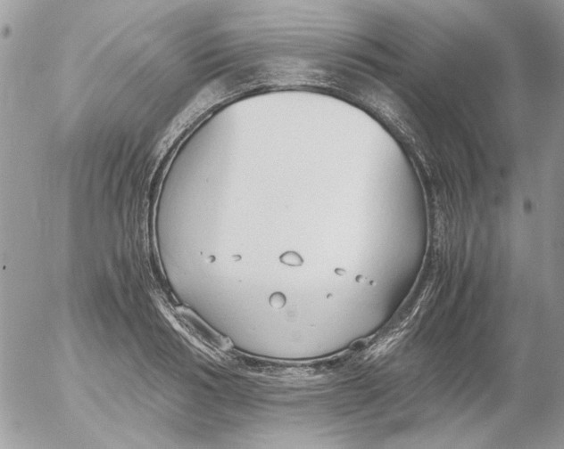 X0000052550986200507291911