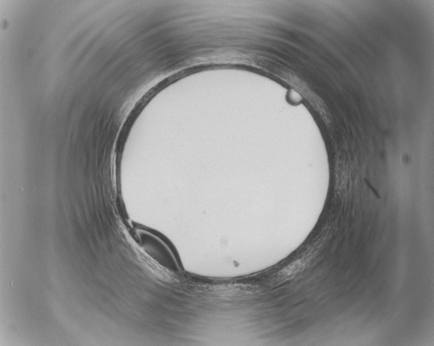 X0000052550988200507291911