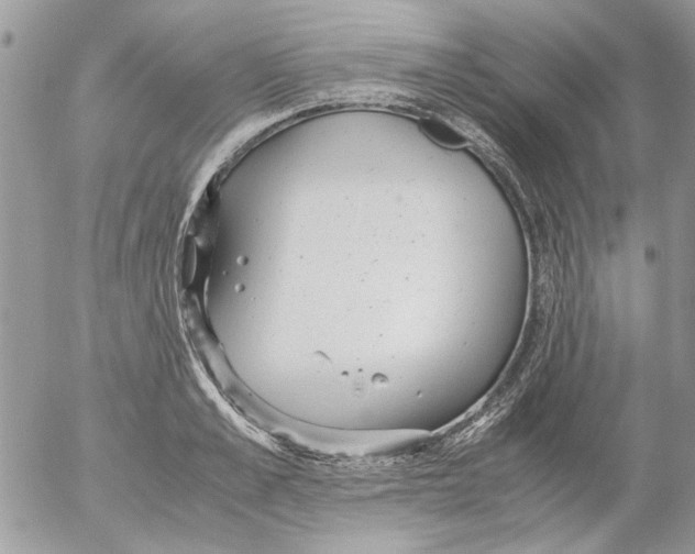 X0000052550989200507291911