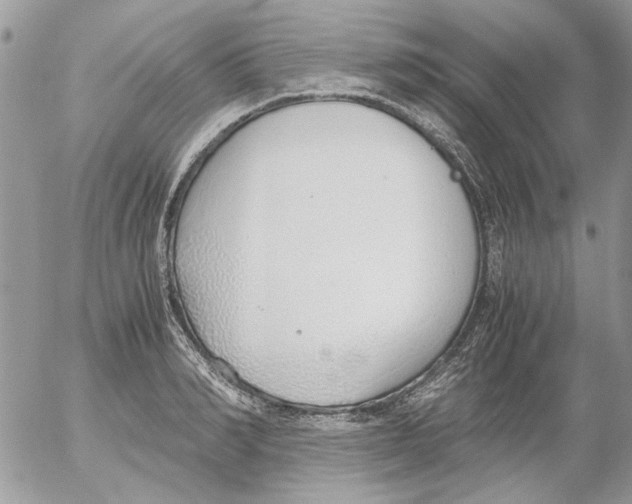 X0000052550990200507291911