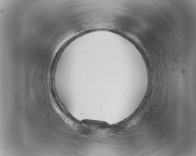 X0000052550991200507291911