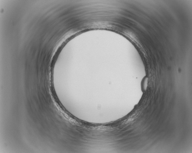 X0000052550992200507291911