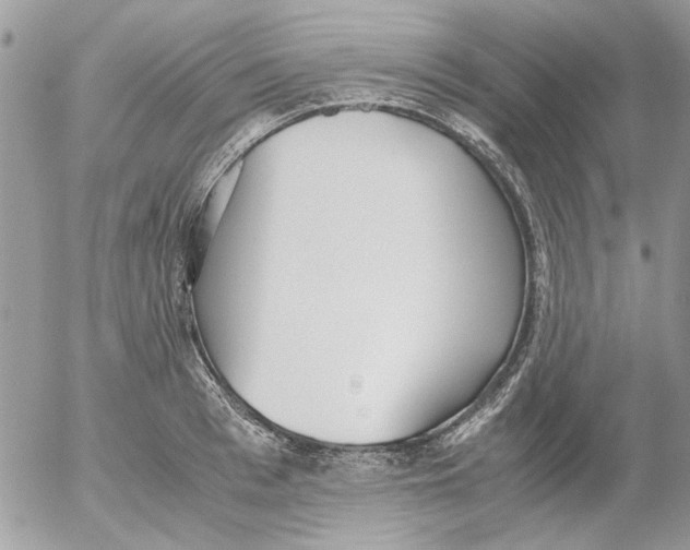 X0000052550993200507291911