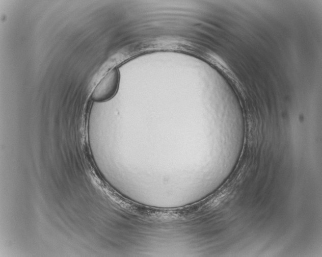 X0000052550994200507291911