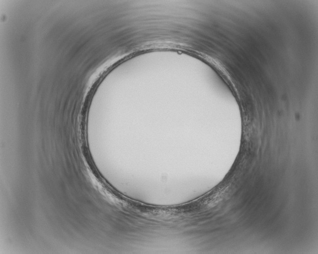 X0000052550995200507291911