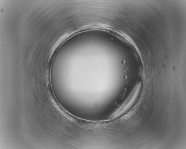 X0000052550997200507291911