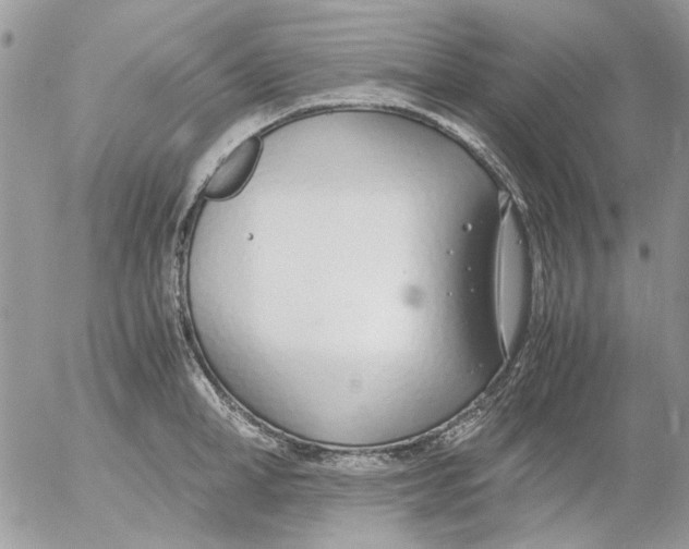 X0000052550998200507291911