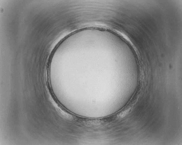 X0000052550999200507291911