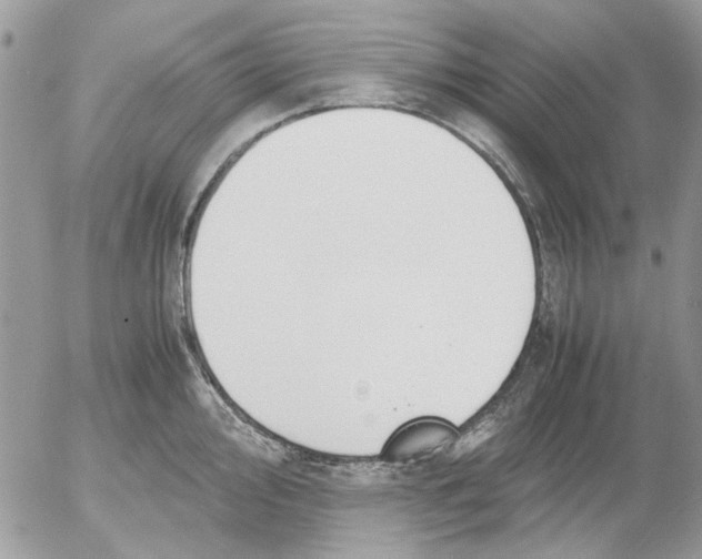 X0000052551000200507291911