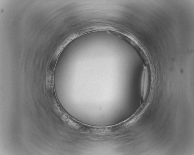 X0000052551001200507291911