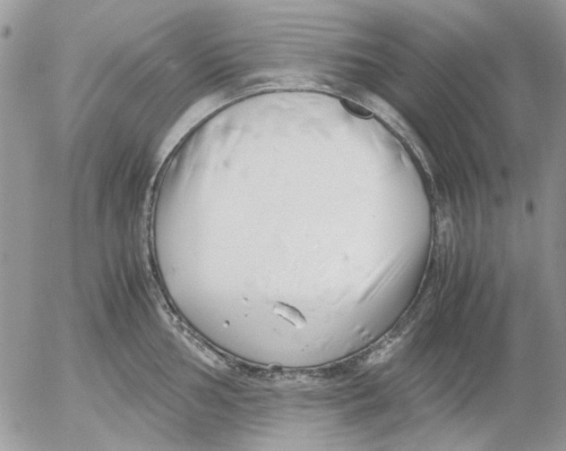 X0000052551002200507291911