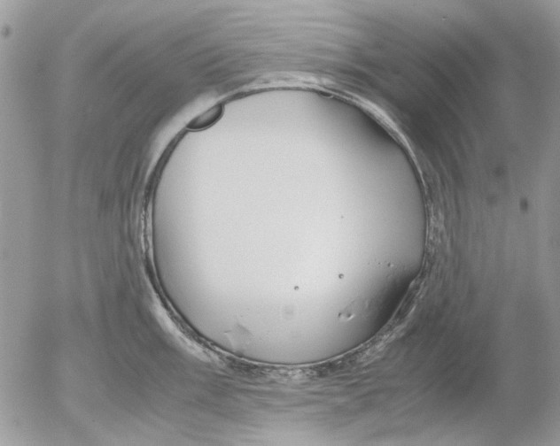 X0000052551003200507291911