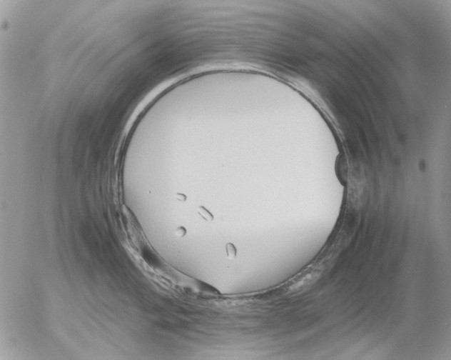 X0000052551004200507291911