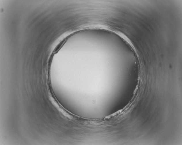 X0000052551005200507291911