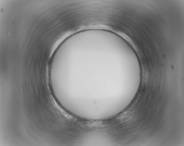 X0000052551006200507291911