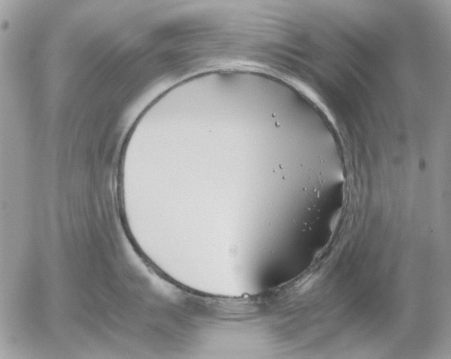 X0000052551007200507291911