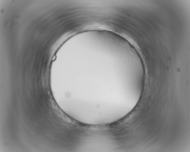 X0000052551008200507291911