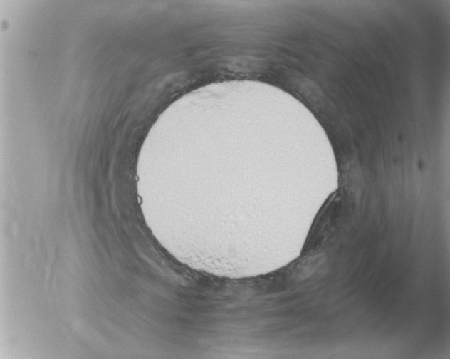 X0000052551009200507291910