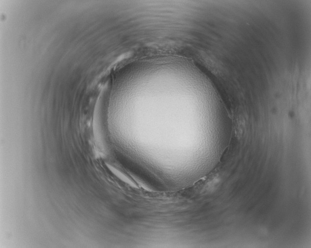 X0000052551010200507291910