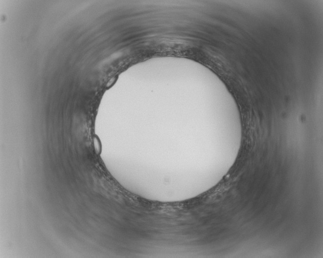 X0000052551013200507291910