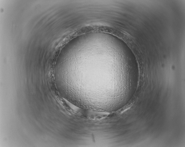 X0000052551014200507291910