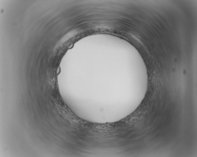 X0000052551015200507291910