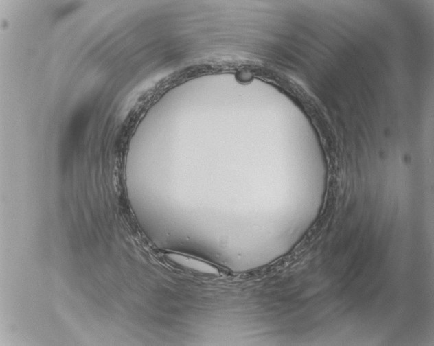 X0000052551016200507291910