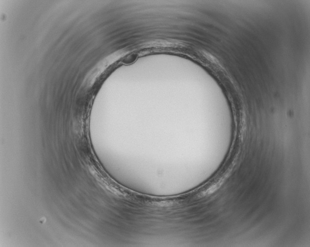 X0000052551017200507291910