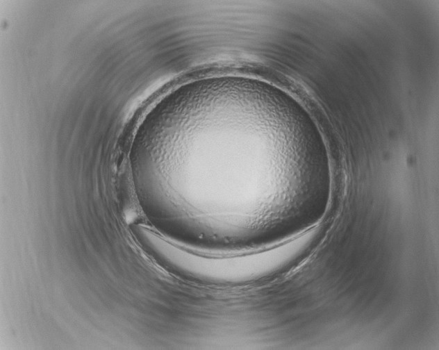 X0000052551018200507291910