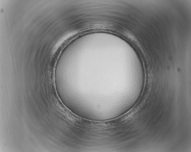 X0000052551019200507291910