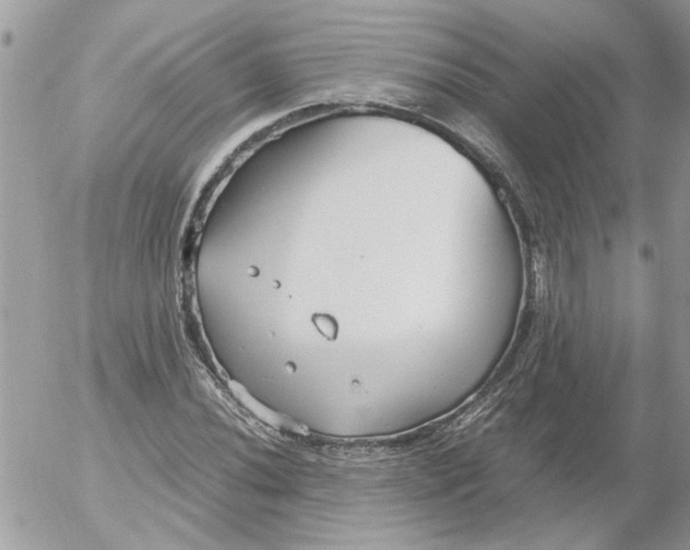 X0000052551020200507291910