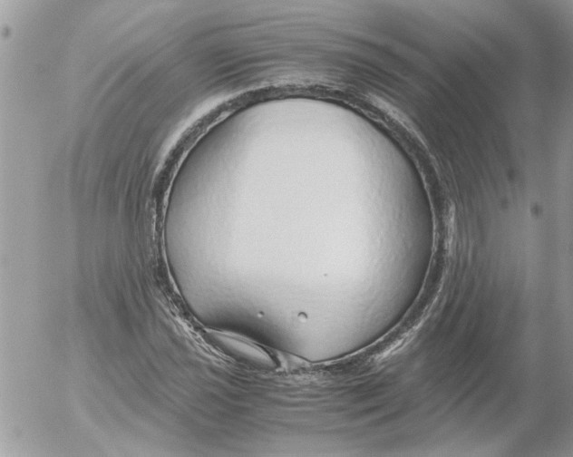 X0000052551021200507291910