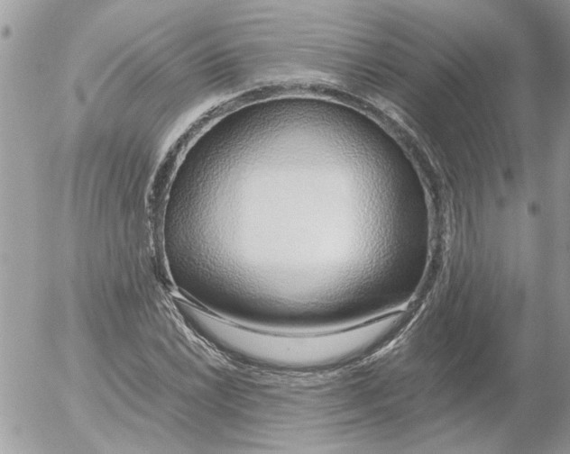 X0000052551022200507291910