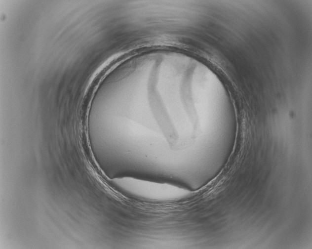 X0000052551024200507291910