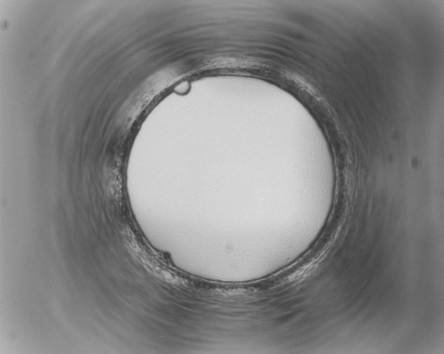 X0000052551025200507291910