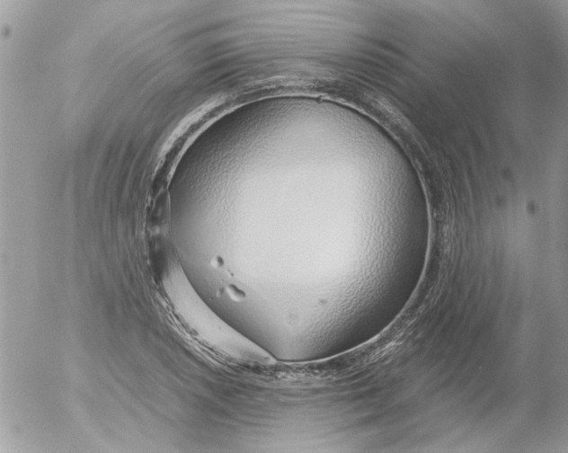 X0000052551026200507291910