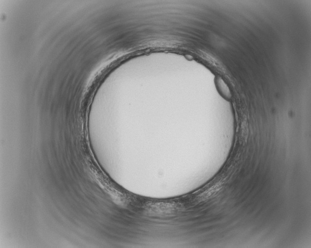 X0000052551027200507291910