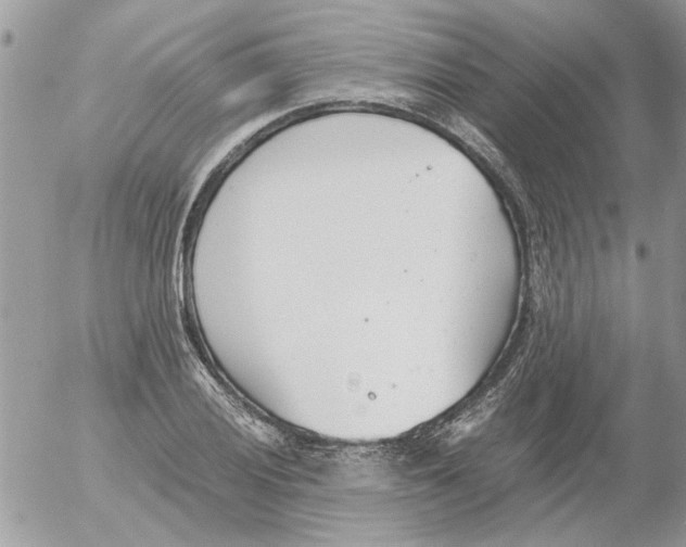 X0000052551028200507291910