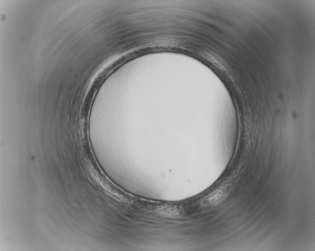 X0000052551029200507291910