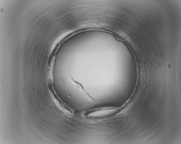 X0000052551030200507291910