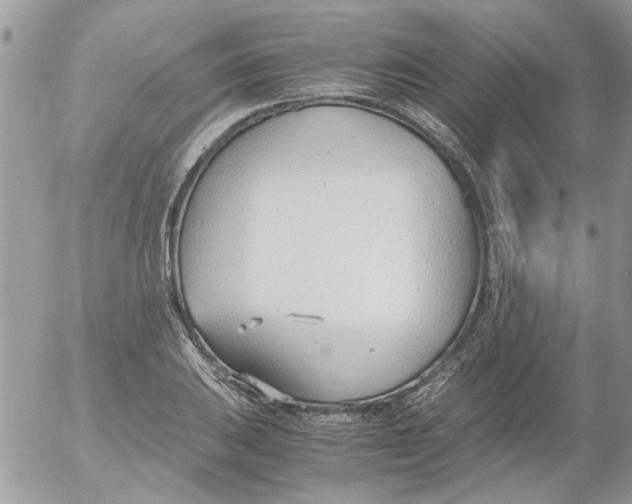 X0000052551031200507291910