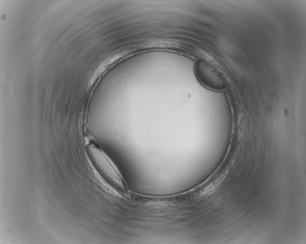 X0000052551033200507291910