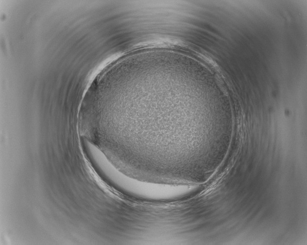 X0000052551034200507291910